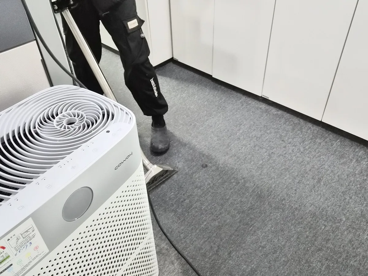 동대문구 장안동 사업장 로비·복도 카페트 바닥 위생청소 사례 - 행진크린